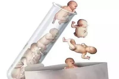 关于青碧生殖